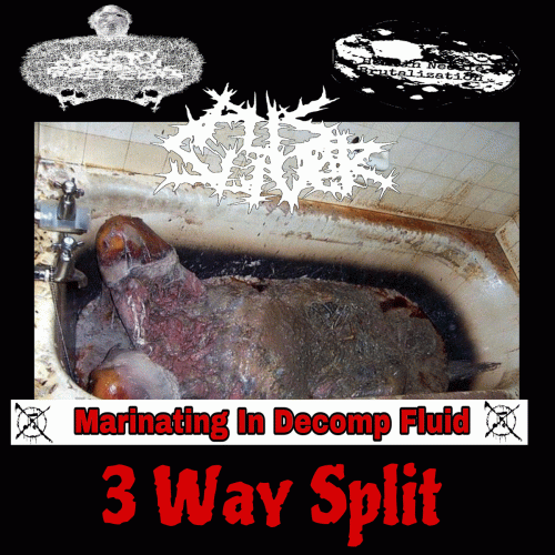 Urinary Tract Infection From Severe Pus Clots : Marinating In Decomp Fluid Urinary Tract Infection From Severe Pus Clots : Marinating In Decomp Fluid